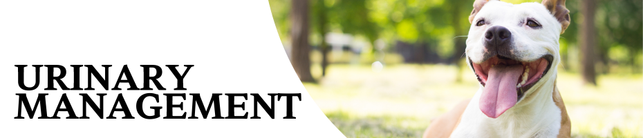 Urinary Management