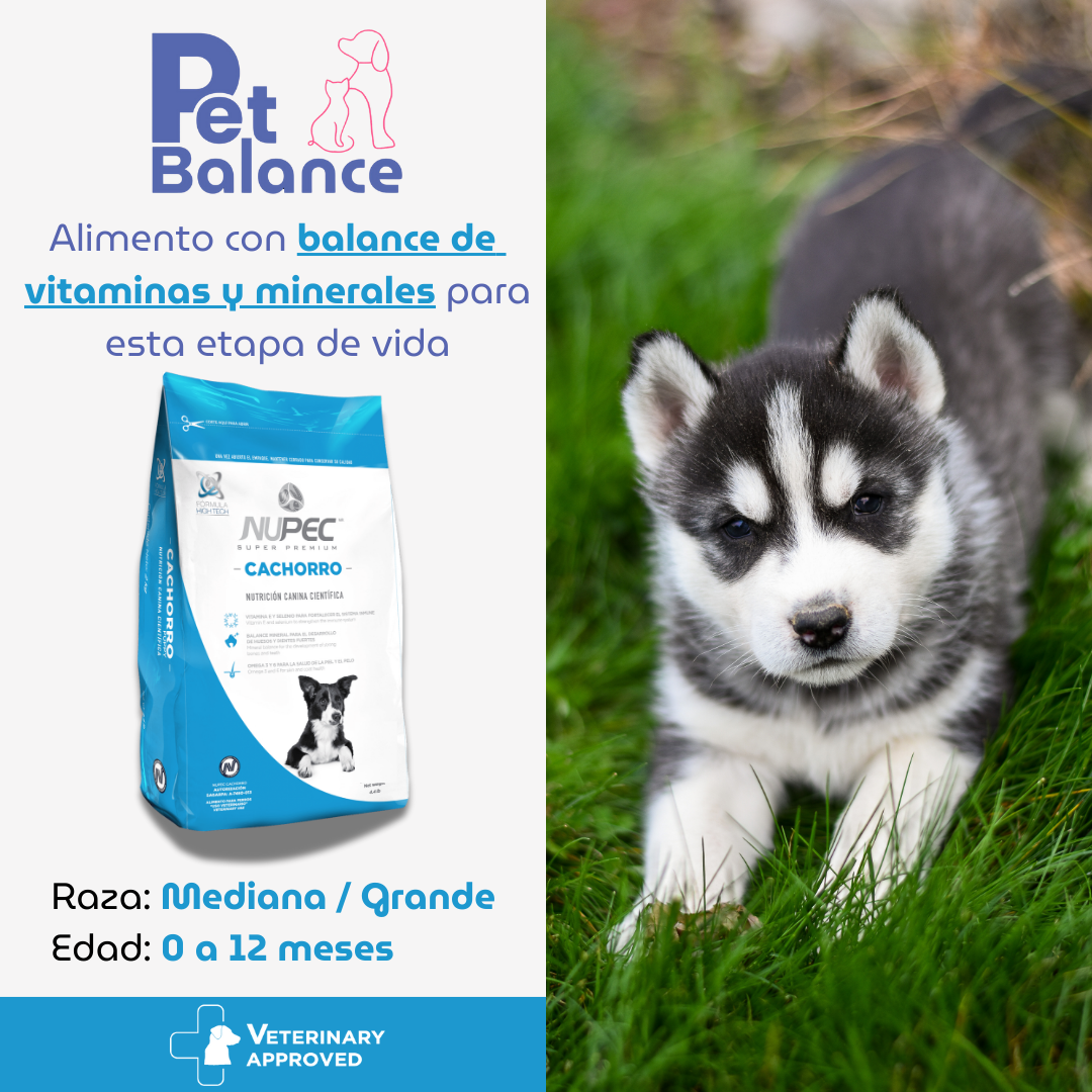 Nupec cachorro 20 kg