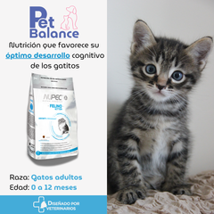 Nupec Felino Kitten 3 kg