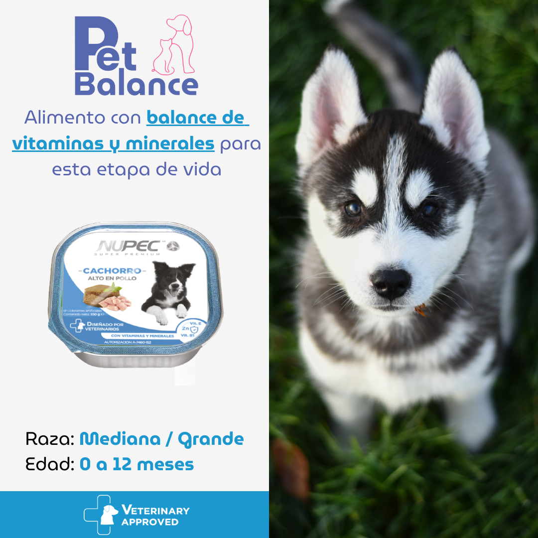 Nupec Alimento Humedo Cachorro (4 latas)